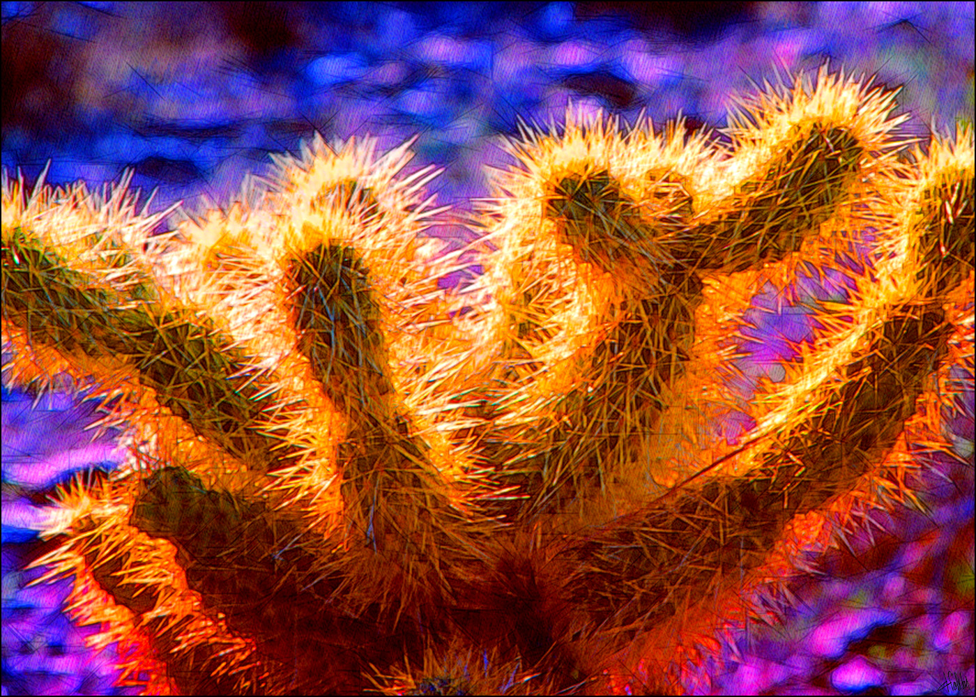 small_cactus_5x7_200