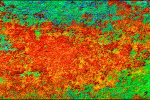 ledge_moss_1280x720_100